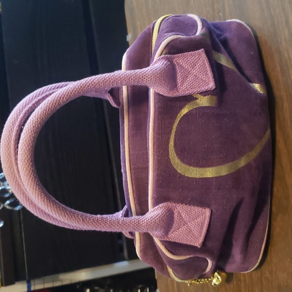 Victoria's Secret Felt Small Satchel